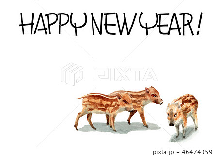 ウリ坊の賀詞入り年賀ハガキ素材 ウリ坊の賀詞入り年賀ハガキ素材 46474059