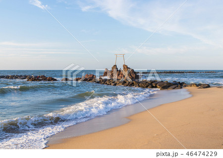 橋津海岸/ハワイ海水浴場（鳥取県） 46474229
