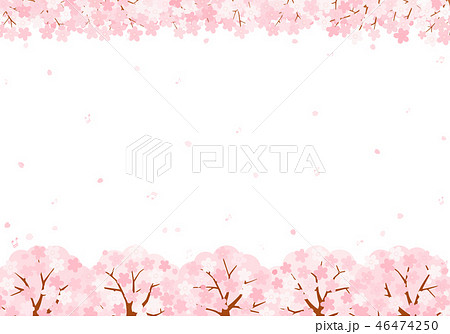 桜の音符　背景　イラスト 46474250