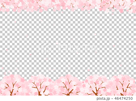 桜の音符　背景　イラスト 46474250