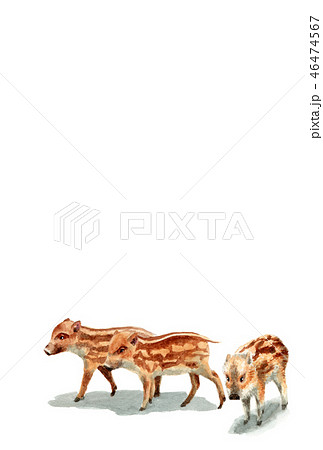 ウリ坊の年賀ハガキ素材 46474567