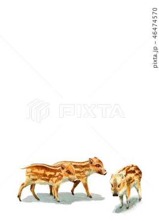 ウリ坊の年賀ハガキ素材 ウリ坊の年賀ハガキ素材 46474570