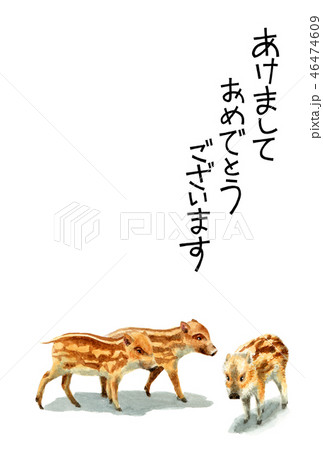 ウリ坊の賀詞入り年賀ハガキ素材 ウリ坊の賀詞入り年賀ハガキ素材 46474609