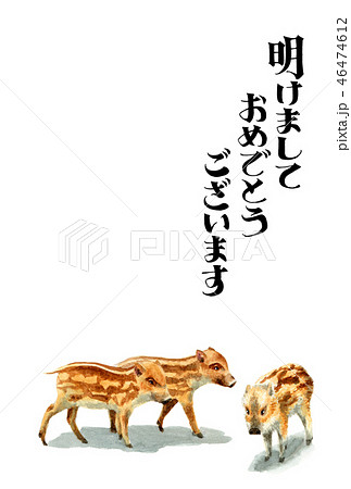ウリ坊の賀詞入り年賀ハガキ素材 46474612