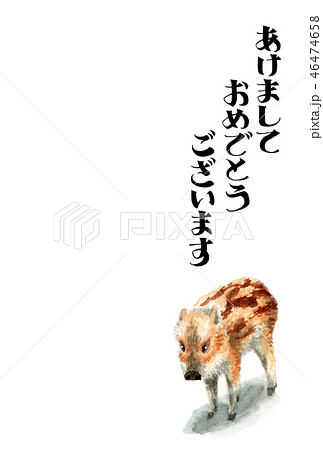 ウリ坊の賀詞入り年賀ハガキ素材 ウリ坊の賀詞入り年賀ハガキ素材 46474658