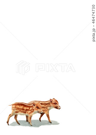 ウリ坊の年賀ハガキ素材 46474730