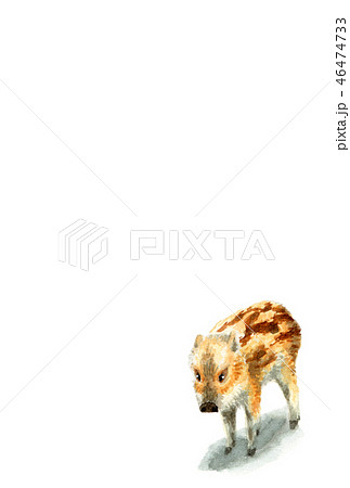 ウリ坊の年賀ハガキ素材 ウリ坊の年賀ハガキ素材 46474733