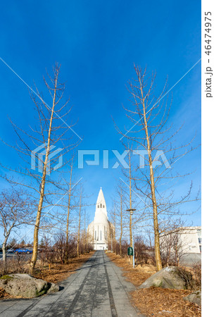 Back door of Hallgrimskirkja church, Iceland 46474975