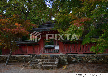 神護寺 秋2018 神護寺 秋2018 46475429