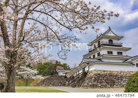 白石城と桜 白石城と桜 46475794