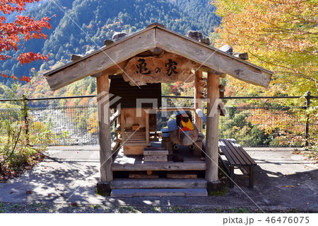 臨川寺亀の家 臨川寺亀の家 46476075