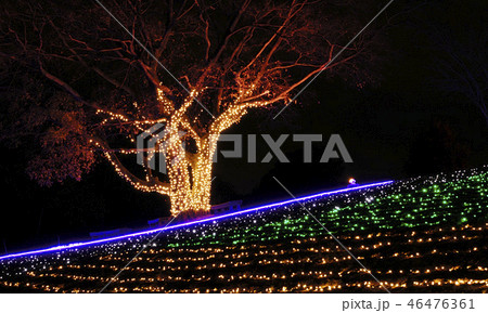 イルミネーション 46476361