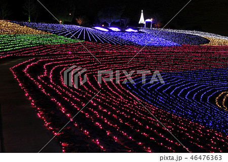 イルミネーション 46476363