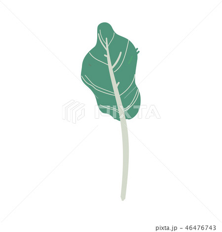 Vector abstract green tree plant cartoon icon 46476743