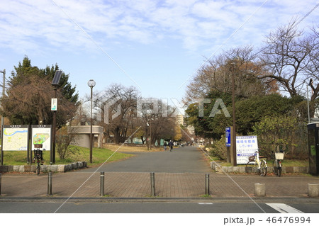 大師公園 川崎大師 大師公園 川崎大師 46476994