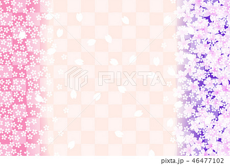 桜　紫 46477102