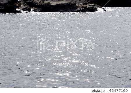 城ヶ島長津呂の磯 城ヶ島長津呂の磯 46477160