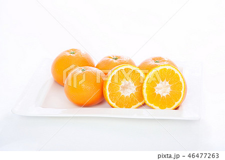 ゼリー ゼリー 46477263