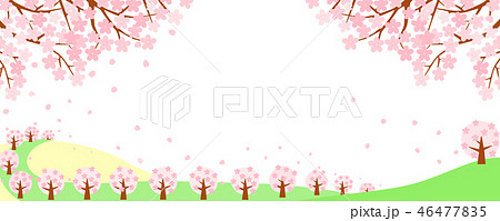 満開の桜並木と一本桜のイラスト素材