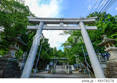 針綱神社 鳥居 針綱神社 鳥居 46478278