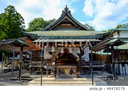 針綱神社　本殿 46478279