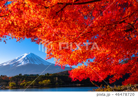 《絶景》日本の秋・富士山と紅葉 46478720