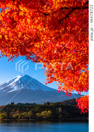 《絶景》日本の秋・富士山と紅葉 《絶景》日本の秋・富士山と紅葉 46478722