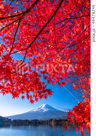 《絶景》日本の秋・富士山と紅葉 《絶景》日本の秋・富士山と紅葉 46478746