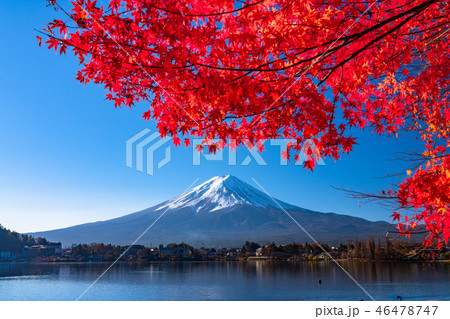《絶景》日本の秋・富士山と紅葉 《絶景》日本の秋・富士山と紅葉 46478747