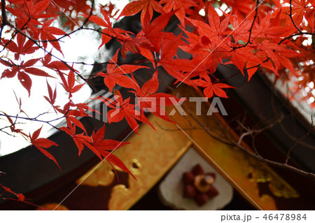 山梨県 富士吉田 浅間神社 山梨県 富士吉田 浅間神社 46478984