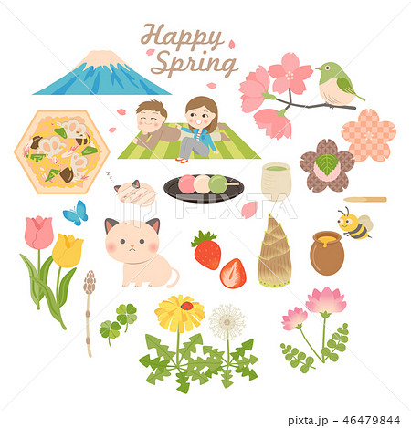 Spring materials 46479844