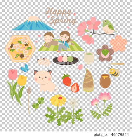 Spring materials 46479844