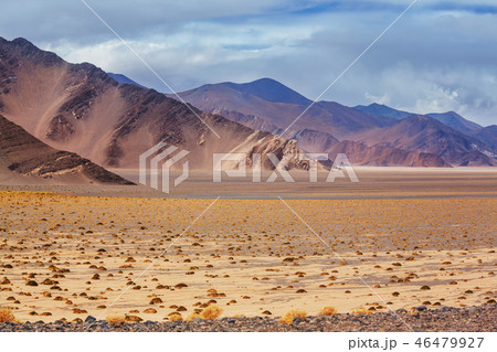 Northern Argentina 46479927