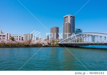 大阪アメニティーパークと銀橋 46480163