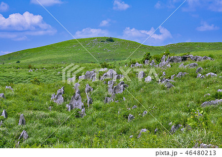 【秋吉台】 山口県美祢市秋芳町秋吉台 46480213