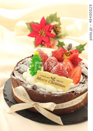 クリスマスケーキ 46480829