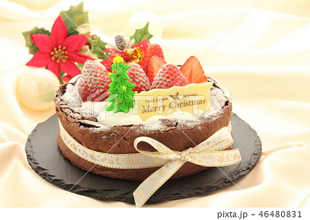 クリスマスケーキ 46480831
