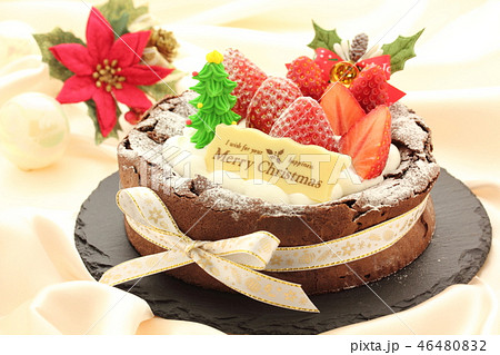 クリスマスケーキ クリスマスケーキ 46480832