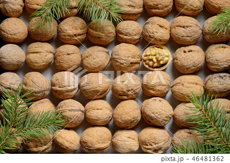 One opened walnut among rows walnuts 46481362