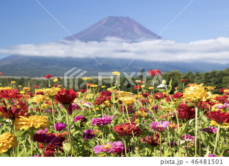 富士山 46481501