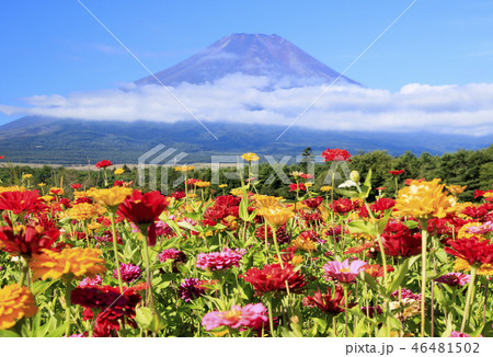 富士山 46481502