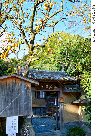 落柿舎（京都） 46481668