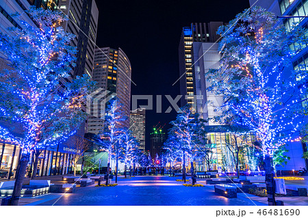 《神奈川県》みなとみらいグランモール公園・イルミネーション 《神奈川県》みなとみらいグランモール公園・イルミネーション 46481690