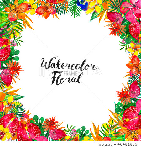 Watercolor Background with tropical plants and flowers 46481855