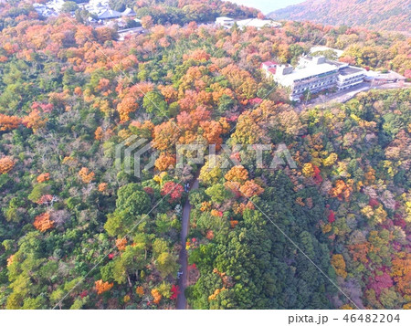 屋島〜ドローンで空撮(香川県高松市) 屋島〜ドローンで空撮(香川県高松市) 46482204