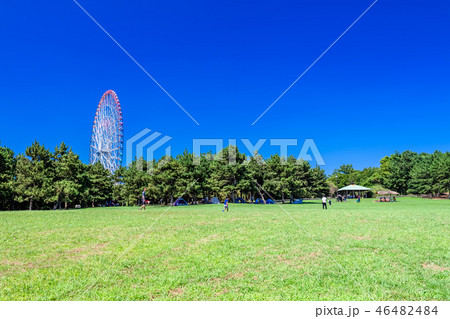 東京 葛西臨海公園 汐風の広場の写真素材