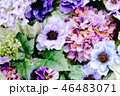 花一面の背景素材 46483071