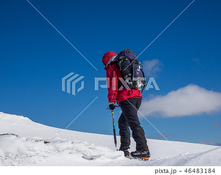 Winter walker Winter walker 46483184