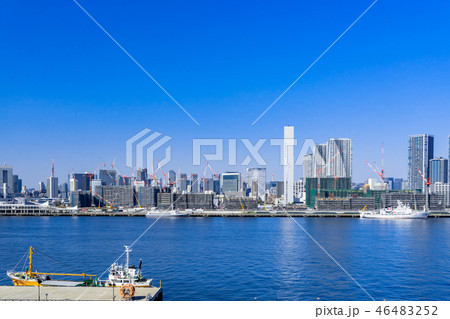 都市風景　豊洲市場からの眺望　晴海埠頭方面 46483252