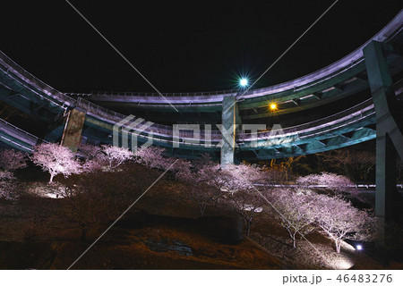 【静岡県】河津七滝ループ橋の夜景と桜ライトアップ 46483276